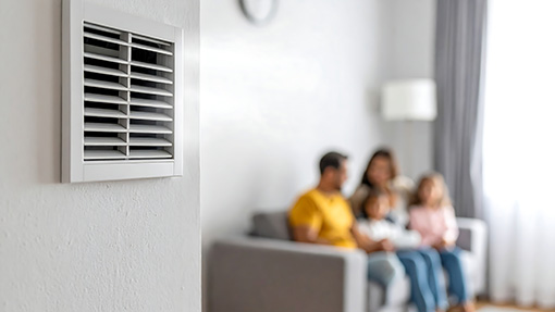 Crawls-and-basements-brazil-indiana-mold-remediation