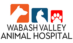 Crawls-and-basements-brazil-indiana-wabash-valley-animal-hospital